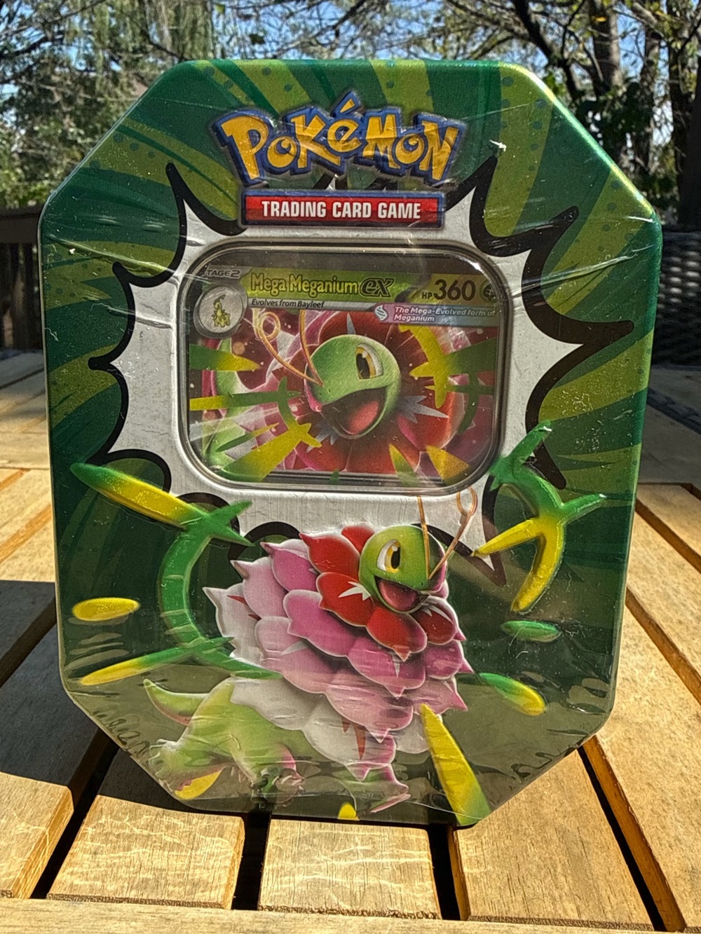 Pokemon Trading Cards- Mega EX Tin - Green
